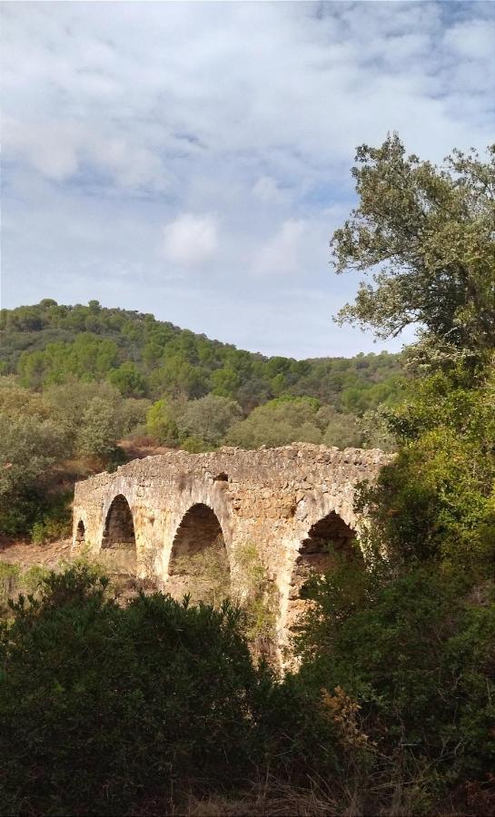 Bonita Casa Blanca En El Bosque. Villa Córdoba Eksteriør bilde