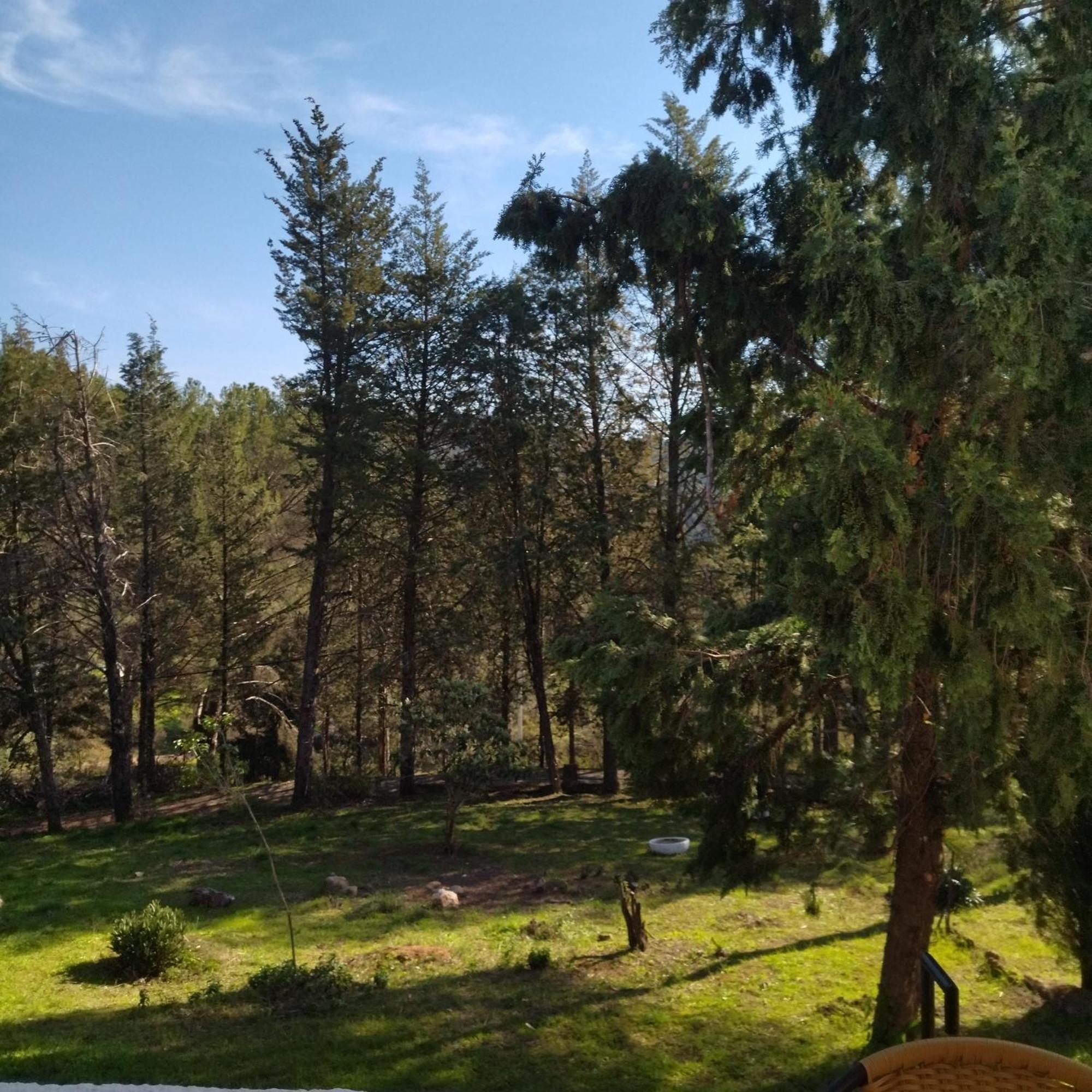 Bonita Casa Blanca En El Bosque. Villa Córdoba Eksteriør bilde