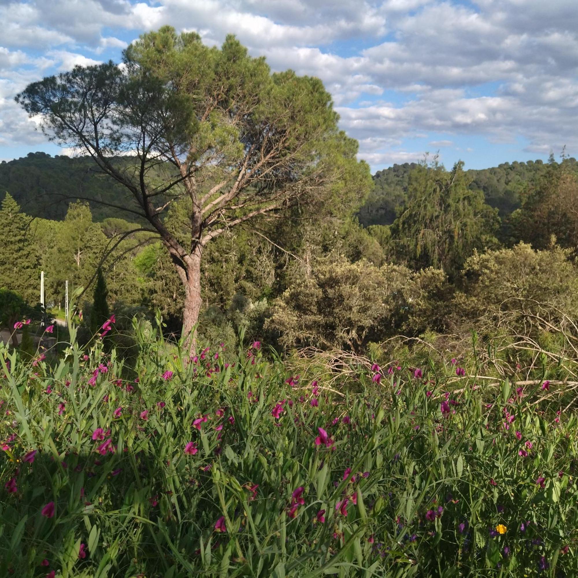 Bonita Casa Blanca En El Bosque. Villa Córdoba Eksteriør bilde